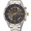 Đồng Hồ Seiko SKS645P1